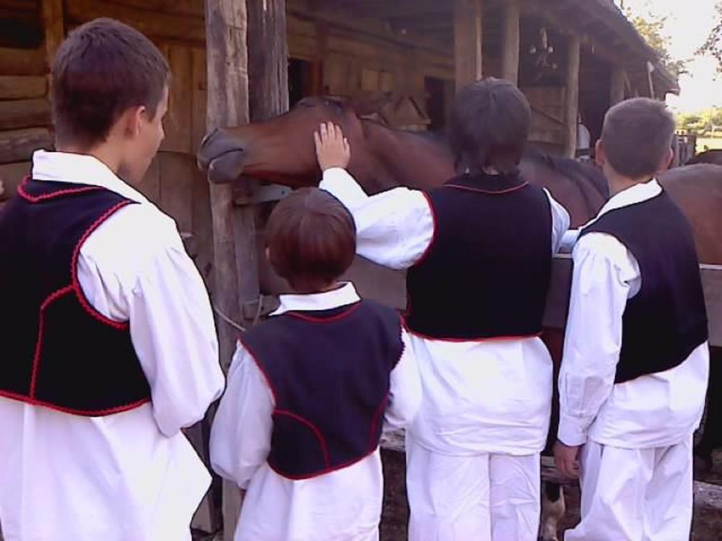 منزل الضيف Muzilovcica  في Rural Tourism Family Ravlic المظهر الخارجي الصورة