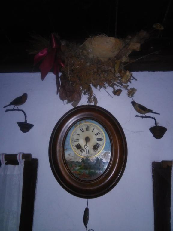 منزل الضيف Muzilovcica  في Rural Tourism Family Ravlic المظهر الخارجي الصورة
